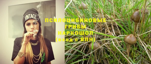 твердый Михайловка