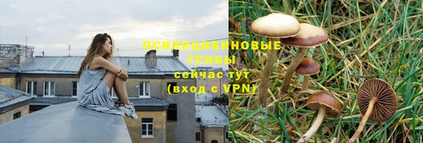 кокаин колумбия Михайлов