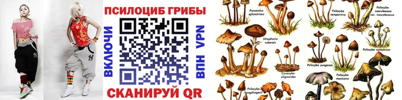 купить наркотики цена  Петухово  Псилоцибиновые грибы Psilocybe 